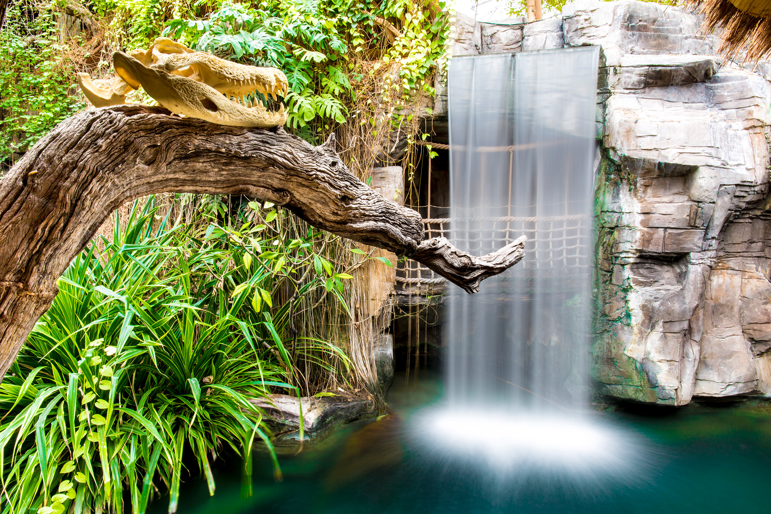 Wasserfall im Tropenaquarium im Tierpark Hagenbeck Hamburg