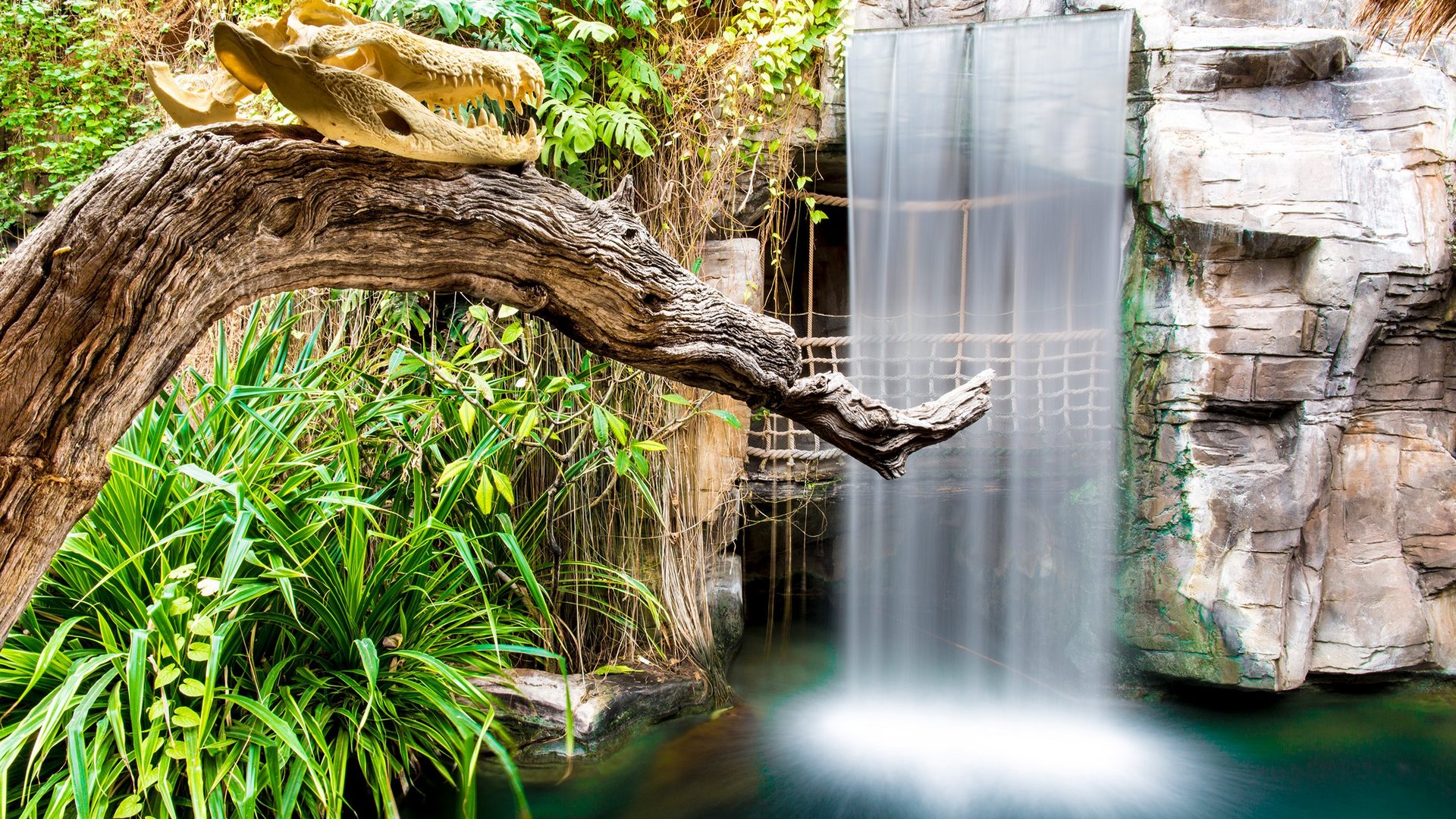 Wasserfall im Tropenaquarium im Tierpark Hagenbeck Hamburg