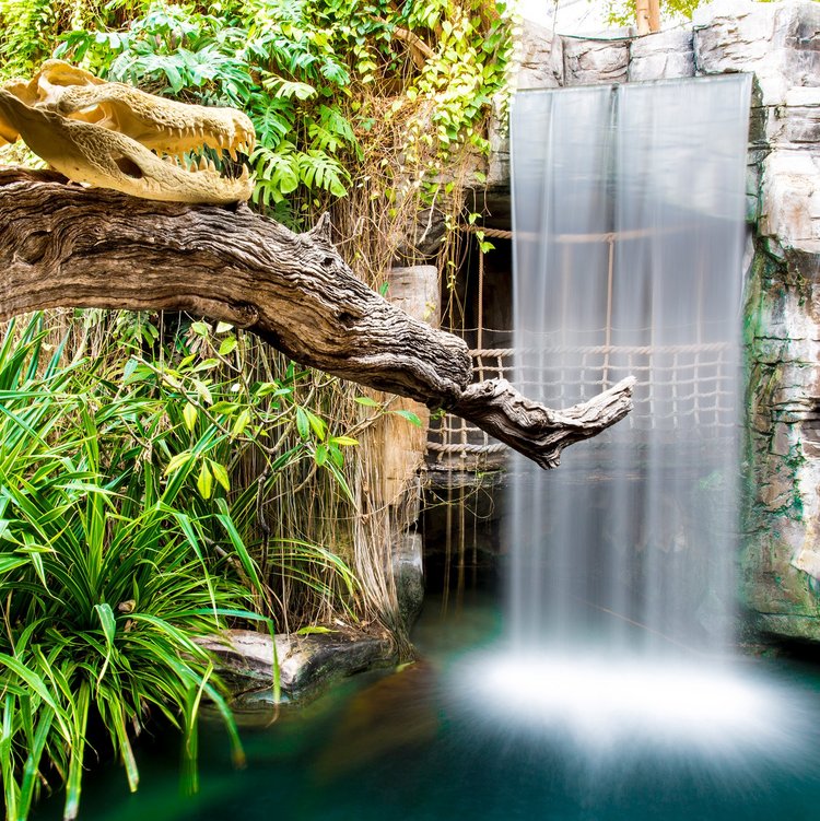 Wasserfall im Tropenaquarium im Tierpark Hagenbeck Hamburg