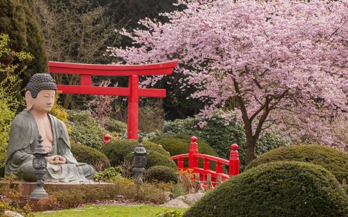 Japanese garden with cherry blossom, Buddha statue and red Torii gate at Park-Hotel Hagenbeck