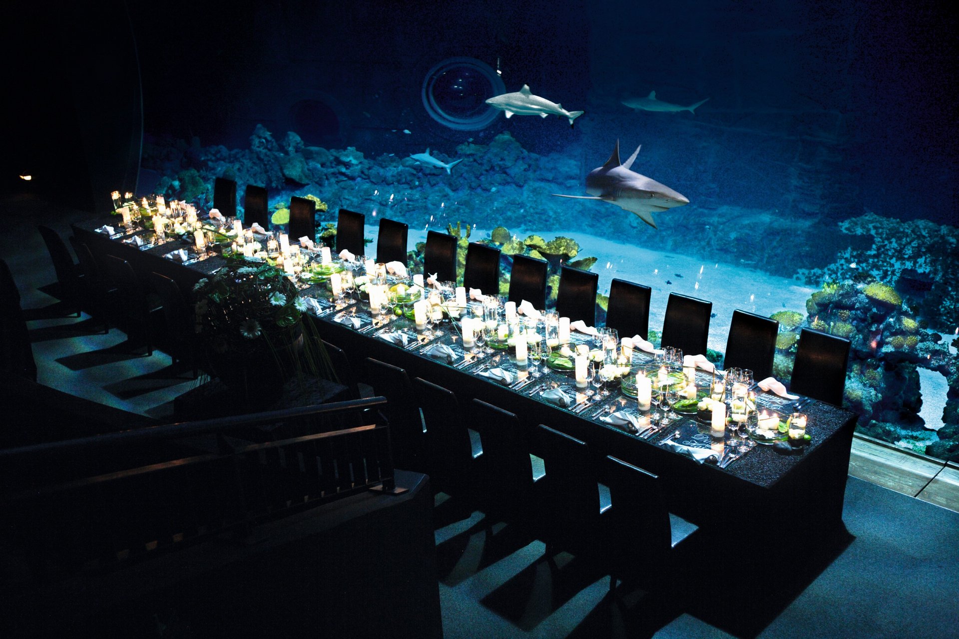 Dinner-Tafel im Tropenaquarium mit Haien im Tierpark Hagenbeck Hamburg