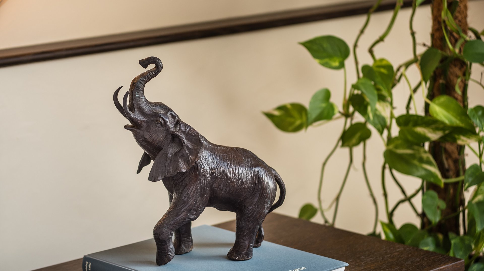 Ausstattungsdetail im Zimmer