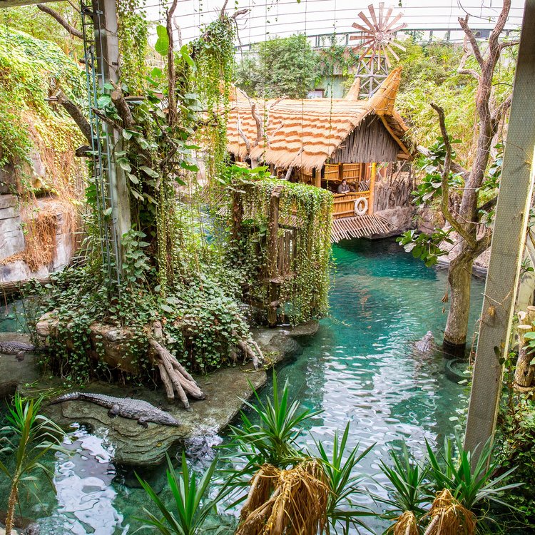 Tropenaquarium im Tierpark Hagenbeck mit üppiger Vegetation und türkisfarbenem Wasser – direkt beim Park-Hotel Hagenbeck