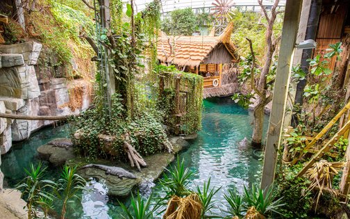 Tropical aquarium at Tierpark Hagenbeck with lush vegetation and turquoise water – right next to the Park-Hotel Hagenbeck