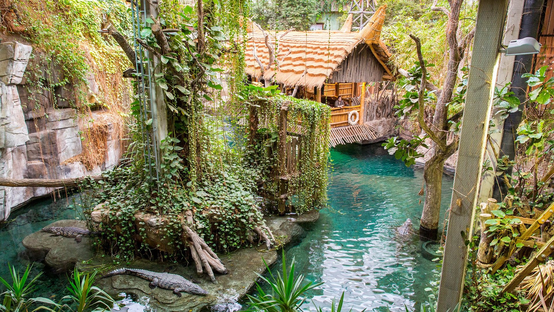 Tropenaquarium im Tierpark Hagenbeck mit üppiger Vegetation und türkisfarbenem Wasser – direkt beim Park-Hotel Hagenbeck