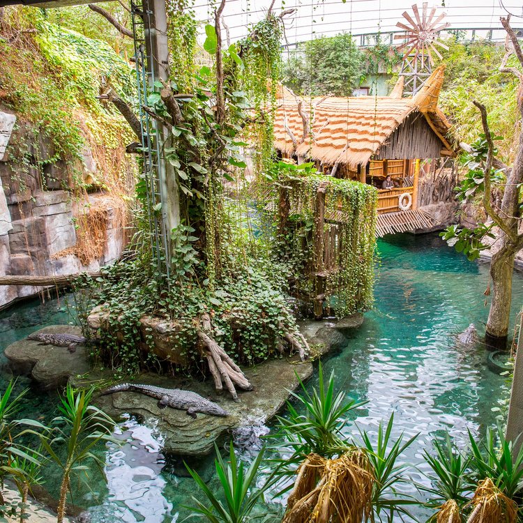 Tropenaquarium im Tierpark Hagenbeck mit üppiger Vegetation und türkisfarbenem Wasser – direkt beim Park-Hotel Hagenbeck